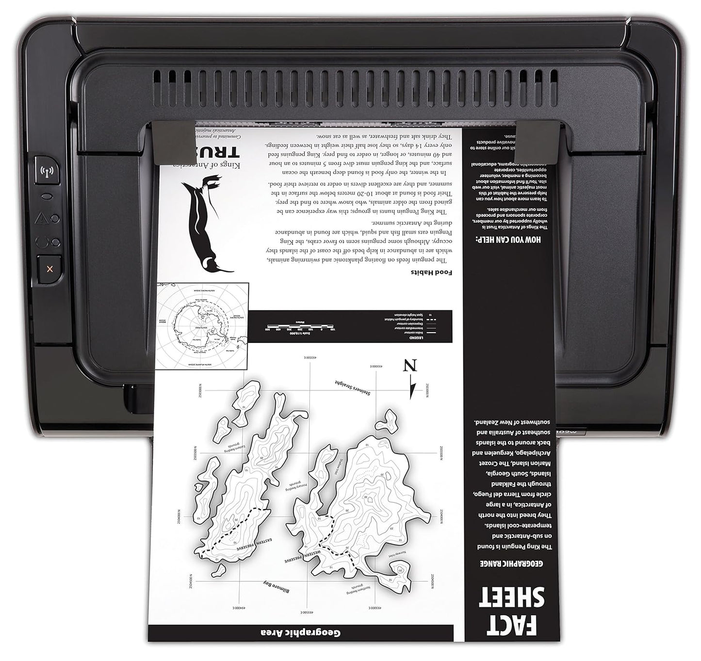 HP CE658A LaserJet Pro P1102w Wireless Printer (Renewed)