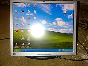 HP 1940 Rotating 19" DVI LCD Monitor