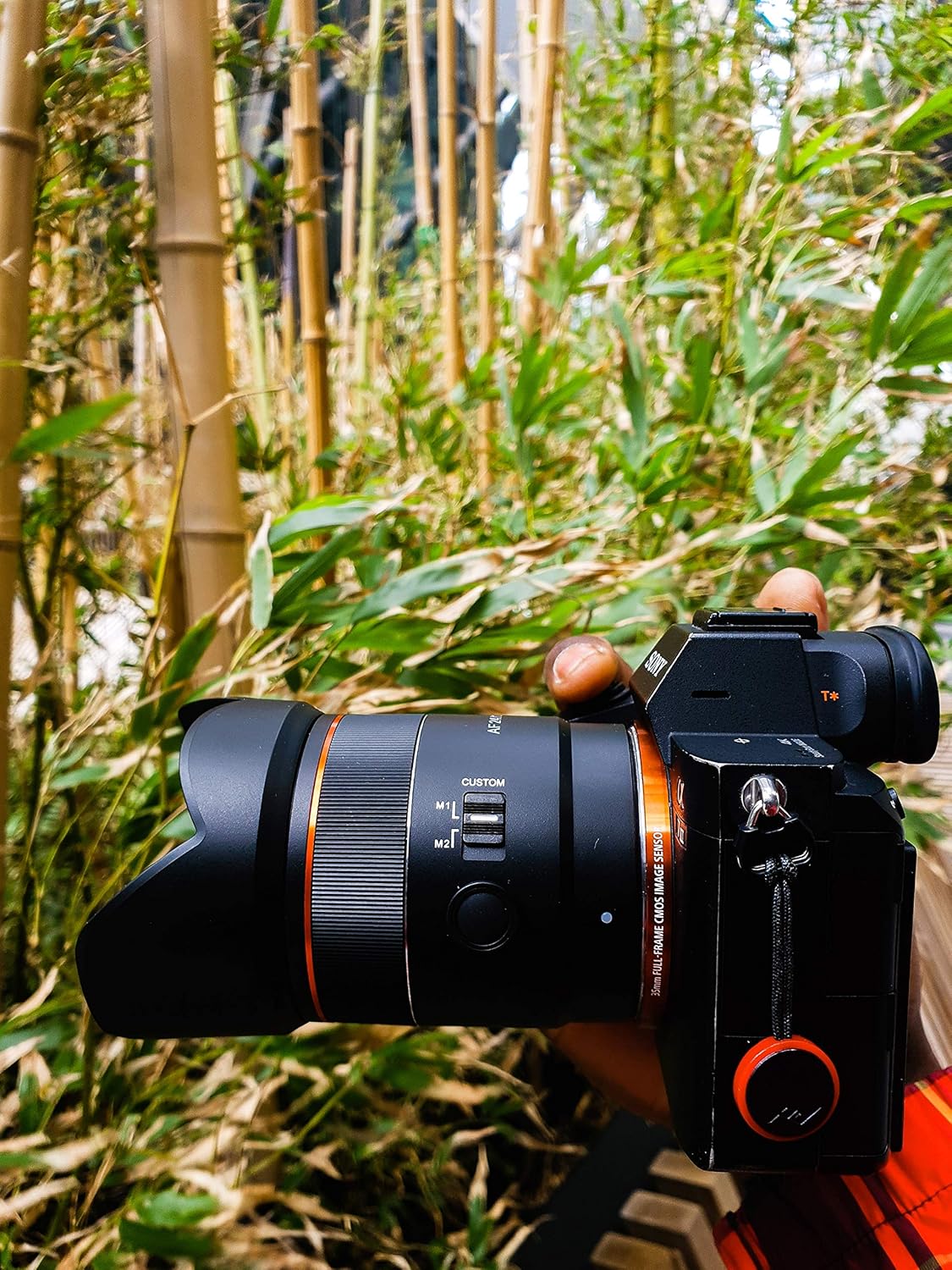 Samyang AF 24mm F1.8 FE Compact Wide Angle Lens