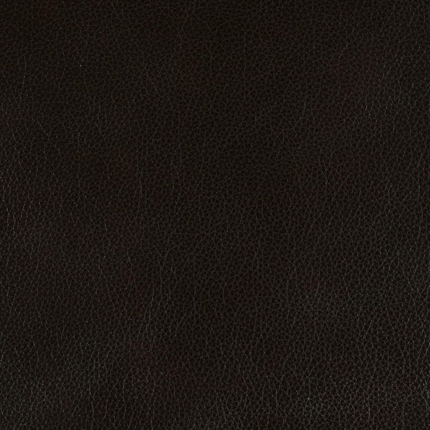 Lexicon Lazarus Leather Power Reclining Loveseat Console