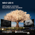 Hisense 110UX 110