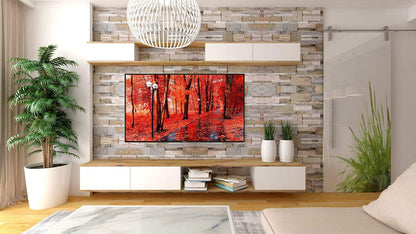 Hisense 58R6E3 58-Inch 4K Roku Smart TV 2020