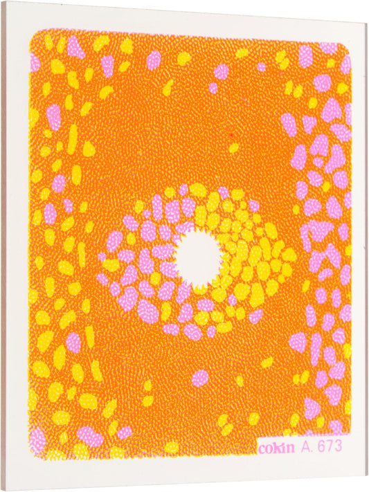 Cokin WA1T673 A673 Yellow/Pink Bi-Color Filter