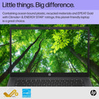 HP 9P988UA#ABA Chromebook 14