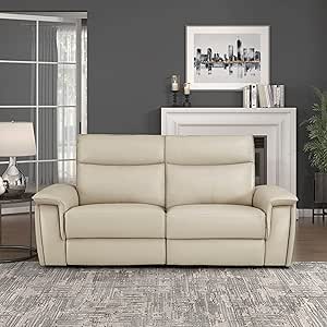 Lexicon Raelynn Power Reclining Loveseat - Taupe Leather — main product image