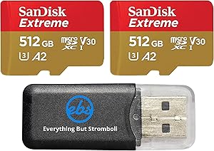 SanDisk 512GB_TF_Extreme Pro MicroSDXC Mavic Mini 2 Bundle