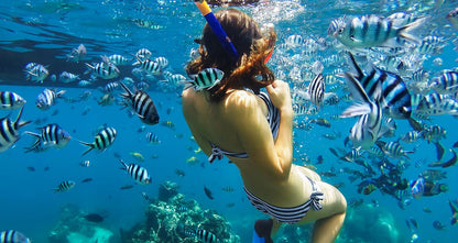 GoPro AACDR-001 Blue Water Snorkel Filter HERO6/5 Black