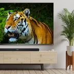 TCL TS8211-NA Alto 8 Dolby Atmos 39-Inch Sound Bar
