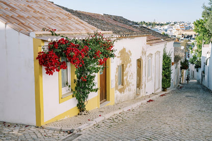 Nikon 20128 NIKKOR Z 50mm f/1.4 Standard Prime Lens