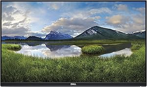 Dell P2419H 24-inch FHD LED Computer Monitor (Renewed)