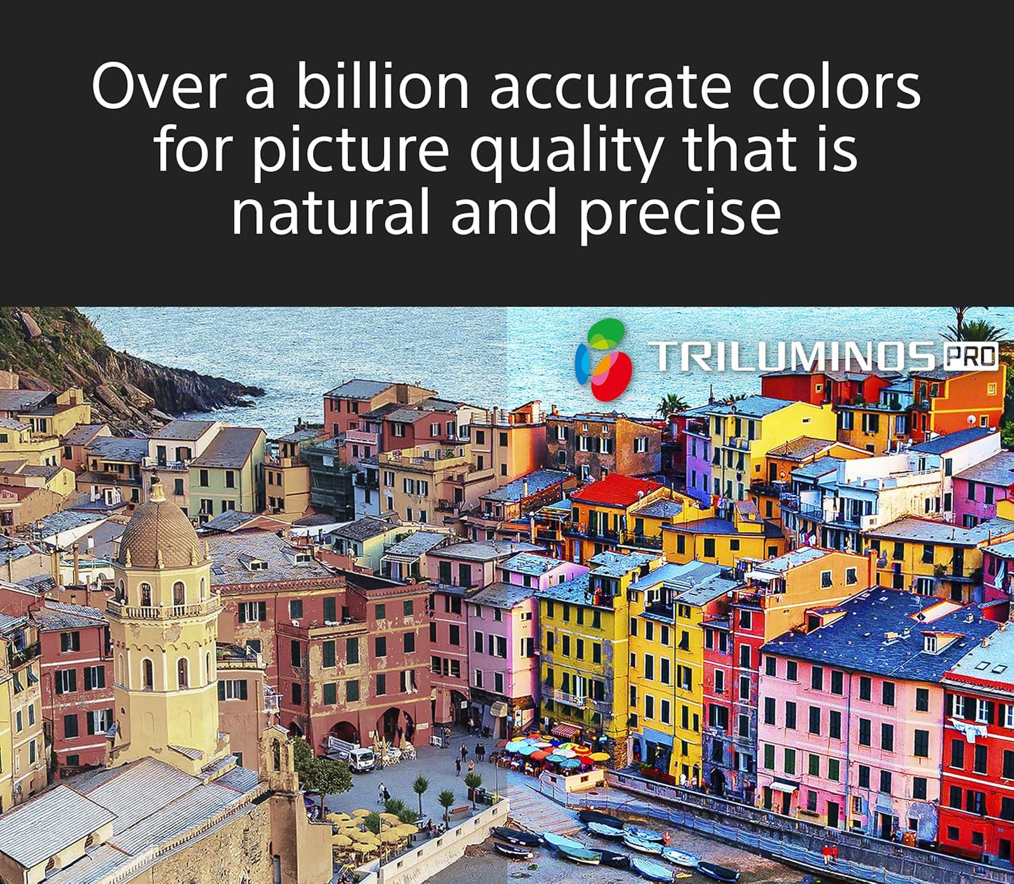 Sony KD-65X80K 65" 4K Google TV (Renewed)