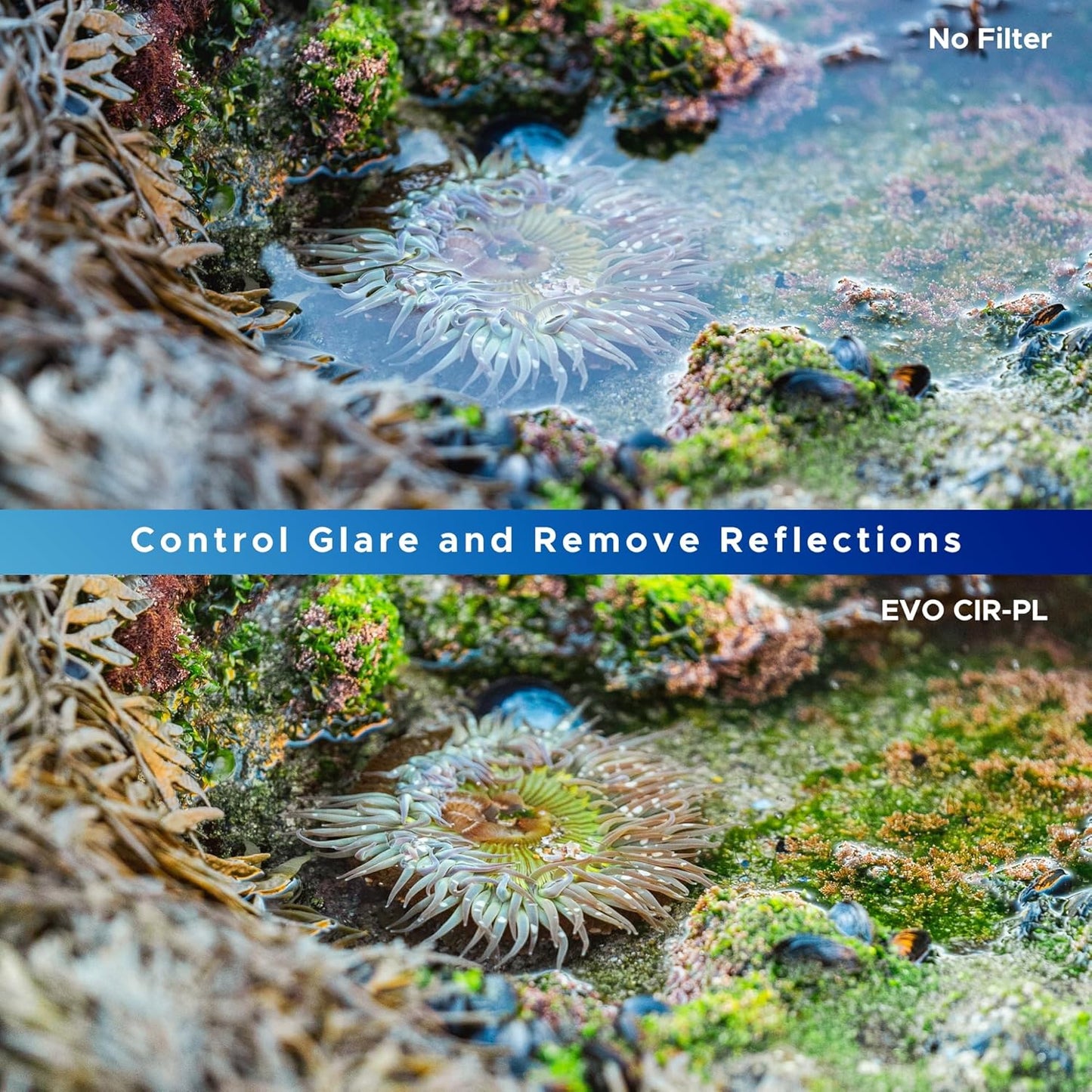 Hoya Circular Polarizer Evo Antistatic CPL Filter 67mm