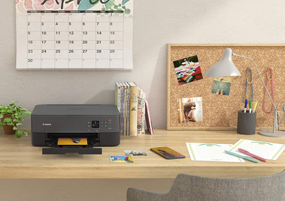 Canon 3773C002 TS5320 All-in-One Wireless Printer