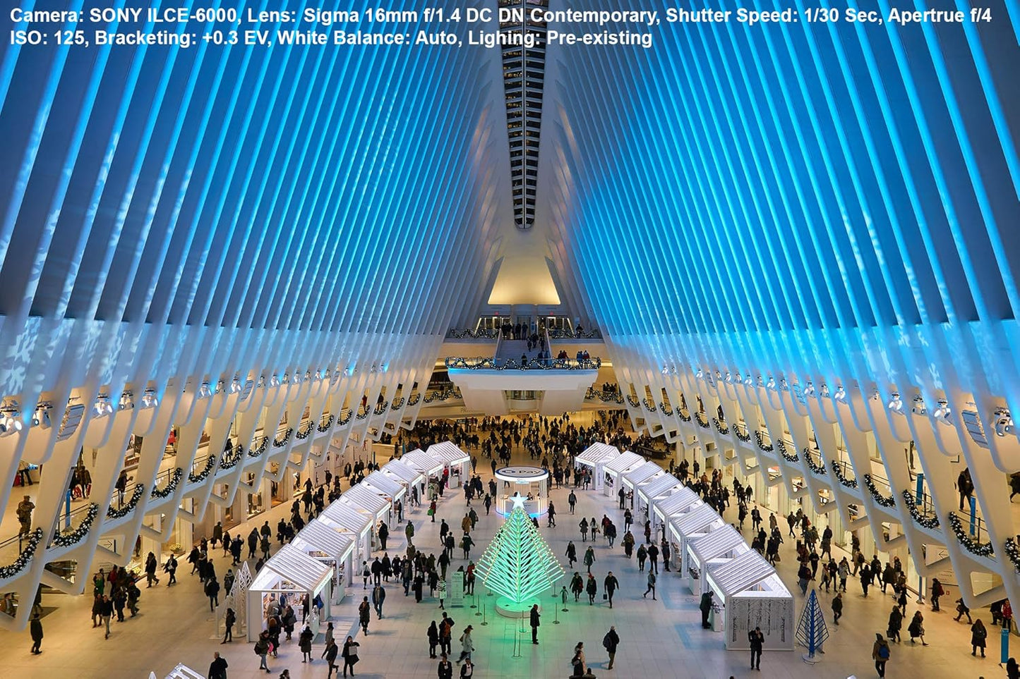 Sigma 402971 16mm f/1.4 DC DN Lens for Canon EF-M