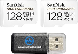 SanDisk 128GB High Endurance MicroSD Card 2-Pack — main product image