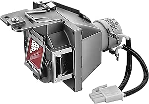 BenQ 5J.J9R05.001: Replacement Projector Lamp