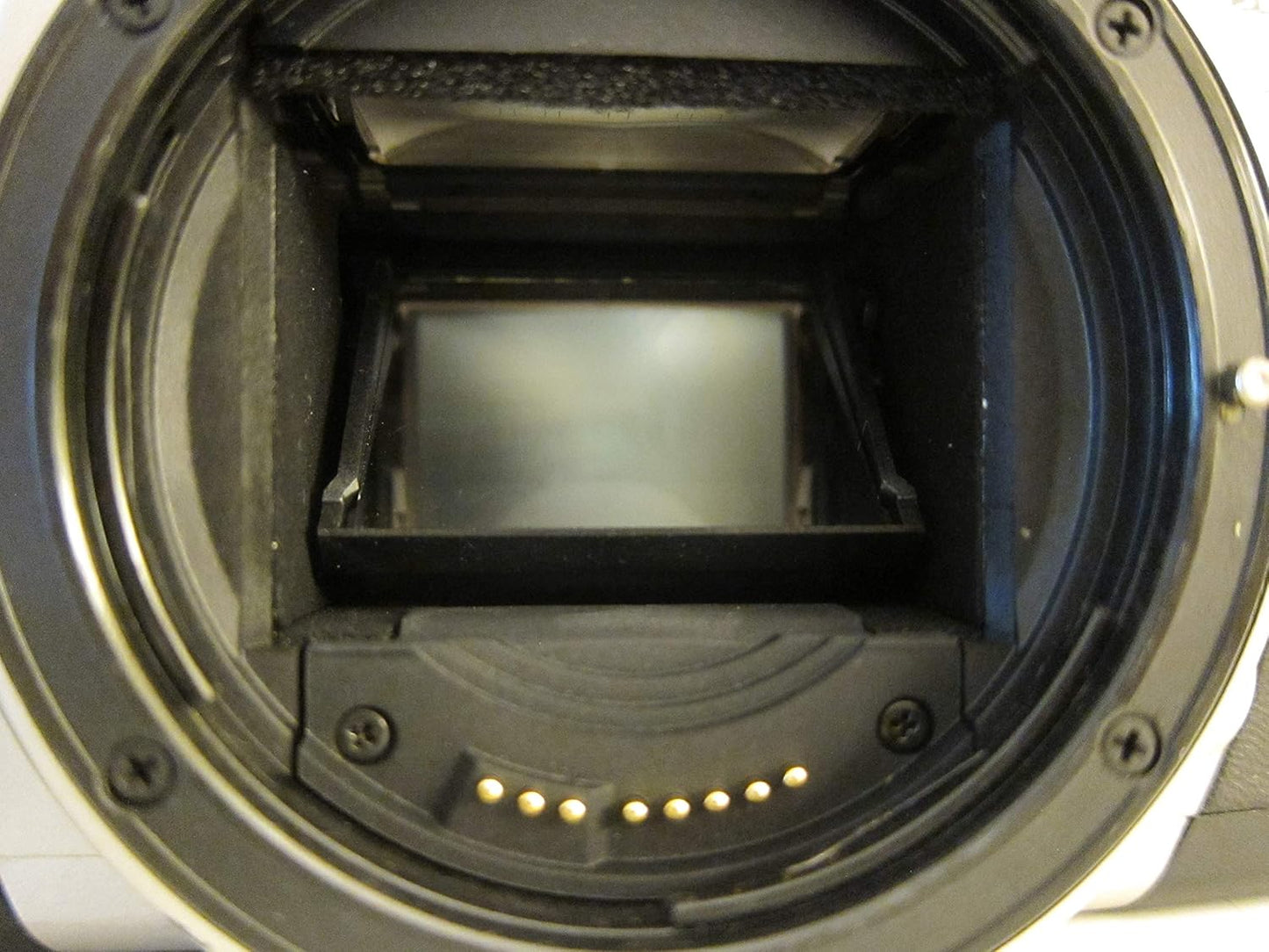 Canon 2067A002 Rebel 2000 Film SLR Camera Body