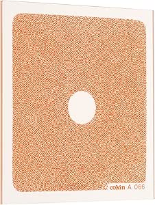 Cokin WA1T066 A066 Filter C.Spot Orange