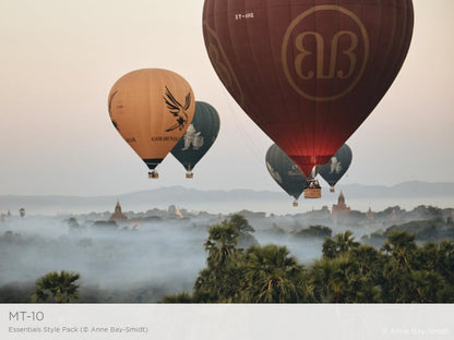 Phase One Capture One Essentials Styles (Download)