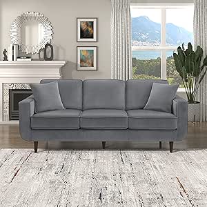 Lexicon 194840166702 Vera Gray Velvet Living Room Sofa