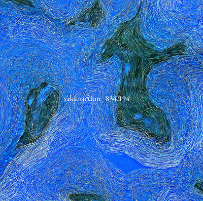 JVC 834.194 - Sakanaction - 2CD Album