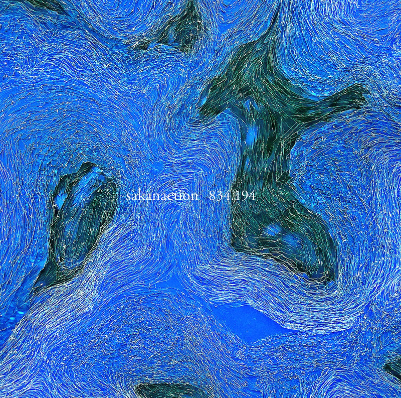 JVC 834.194 - Sakanaction - 2CD Album — main product image
