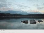 Phase One Capture One Spectrum Styles Download Pack