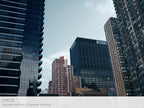 Phase One Capture One Essentials Styles (Download)