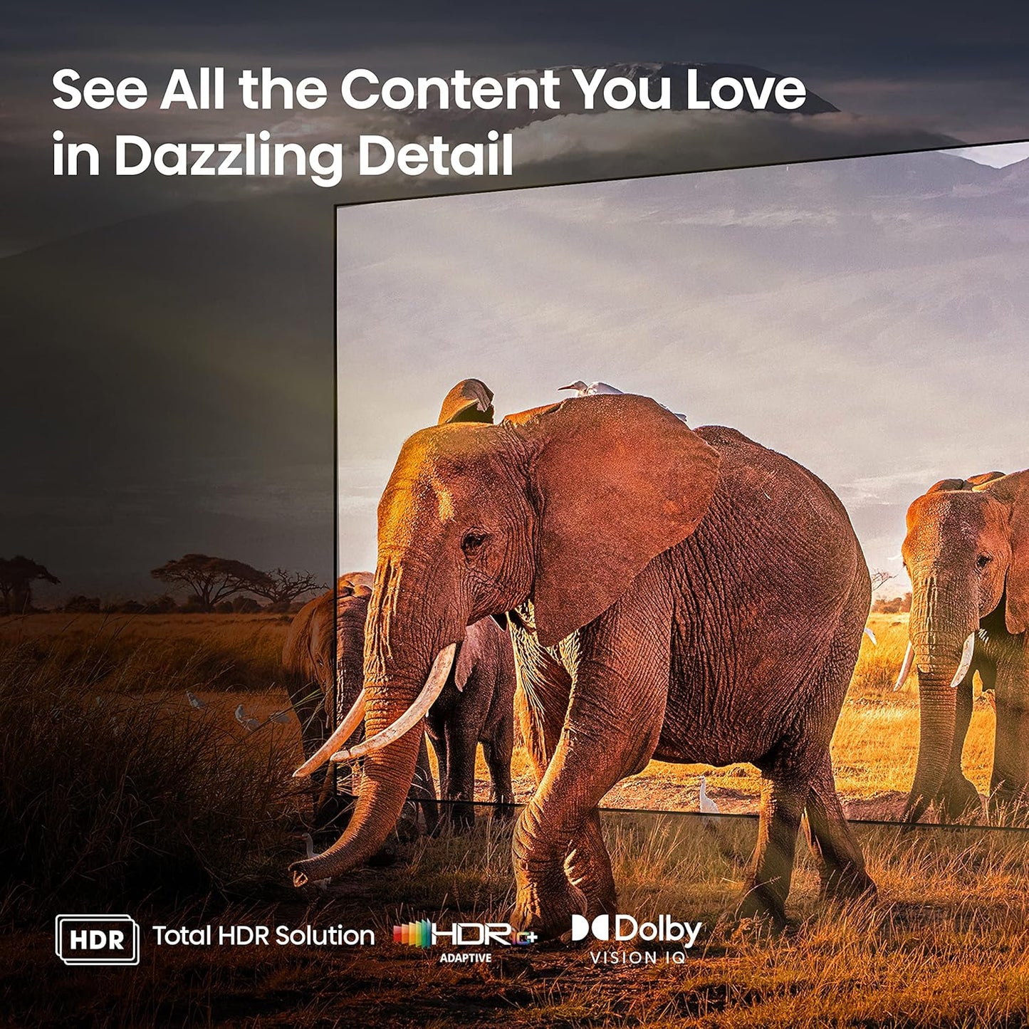 Hisense 75U6K 75-Inch Mini-LED ULED 4K Google Smart TV
